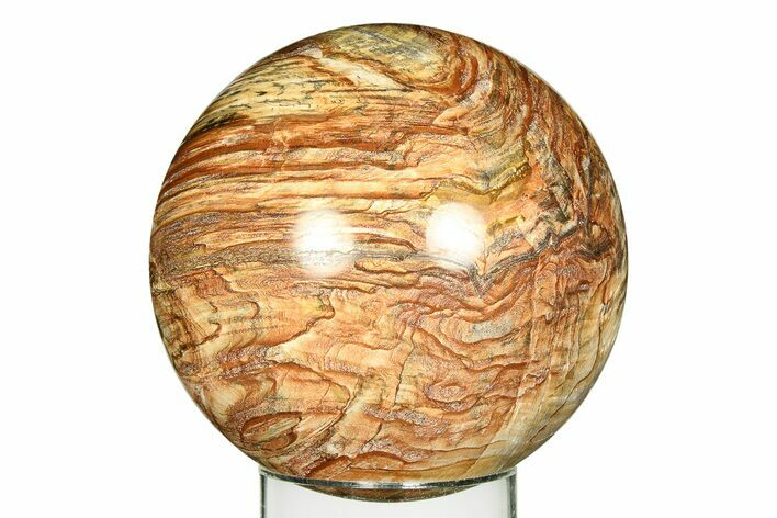 Colorful Oligocene Petrified Wood (Pinus) Sphere - Australia #309228